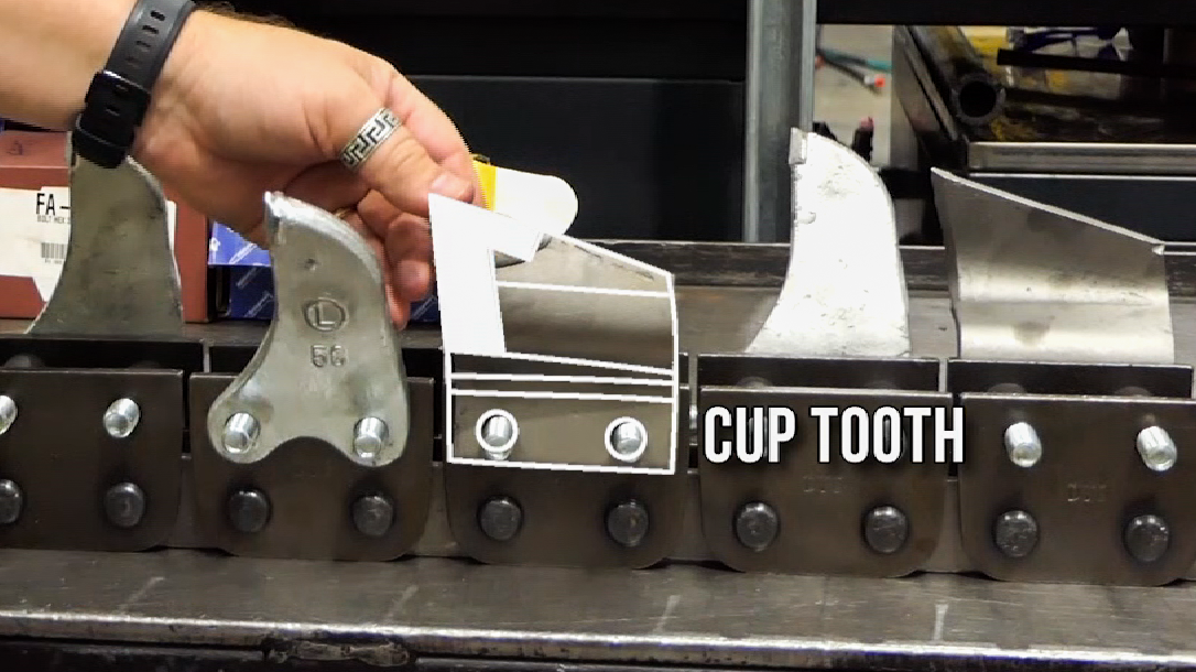 Cup Tooth